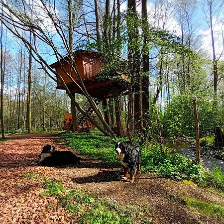 Treehouse V Brdech Vila Bohutín Exterior foto
