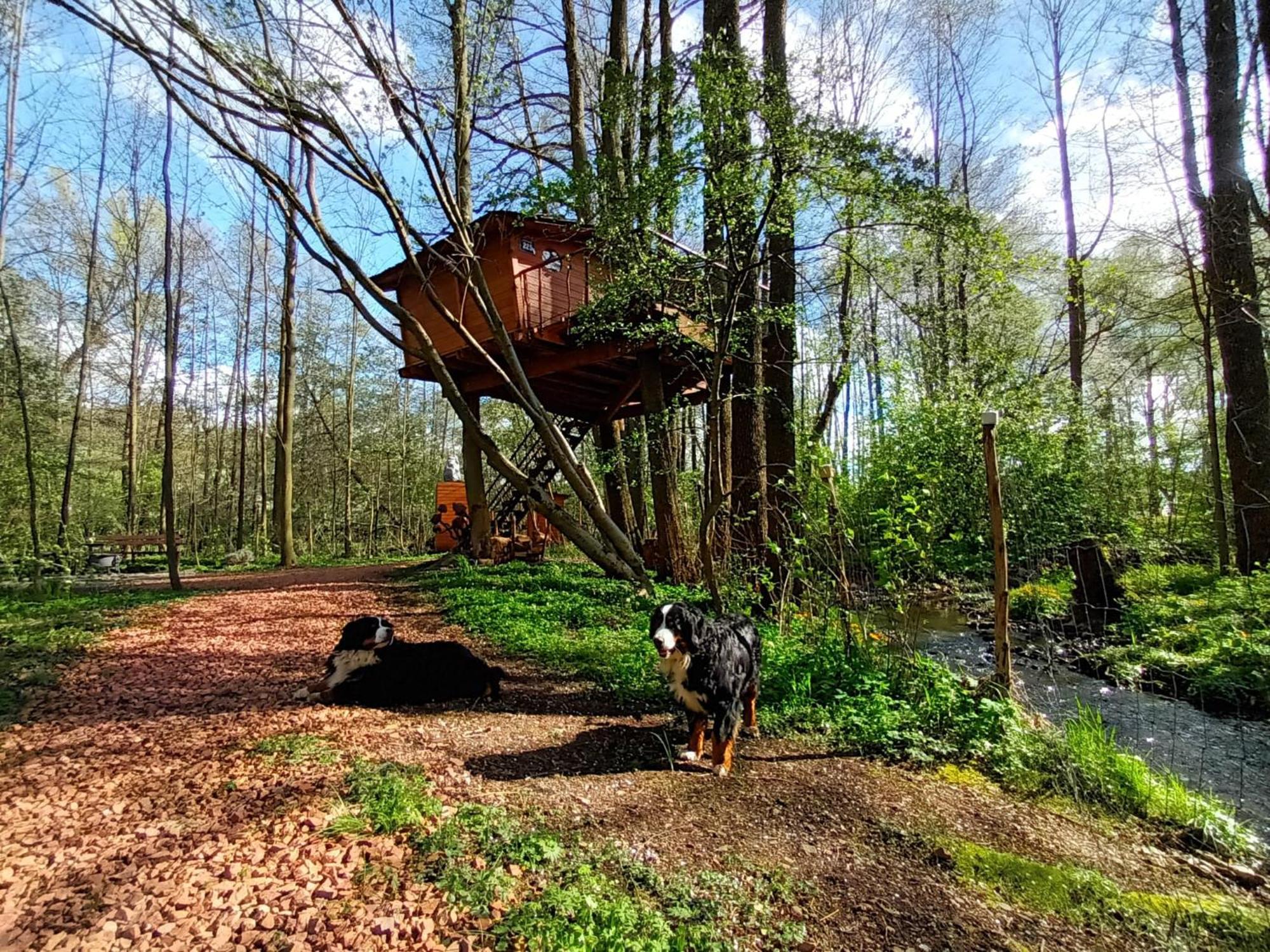 Treehouse V Brdech Vila Bohutín Exterior foto